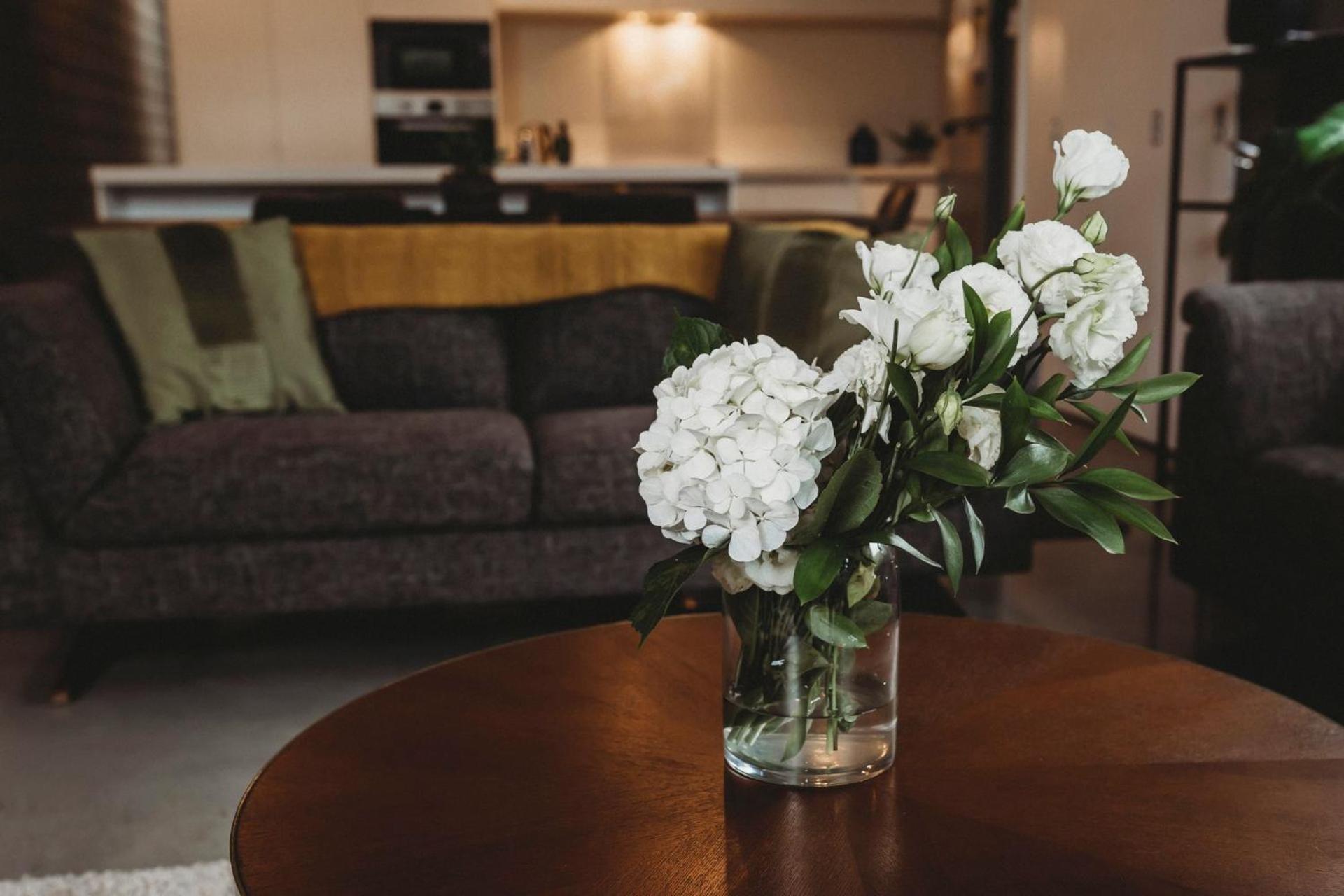 Perfect On Powderham Prime Inner City Location New Plymouth Dış mekan fotoğraf